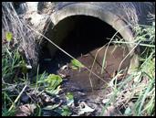 Culvert