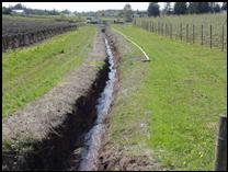 Ditch