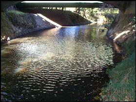 Creek flowing under a bridge