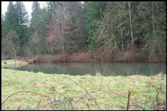 Johnson Creek