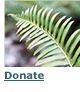 Donate to the Johnson Creek Watershed Council