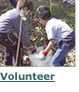 Volunteer Opportunities at the Johnson Creek Watershed Council