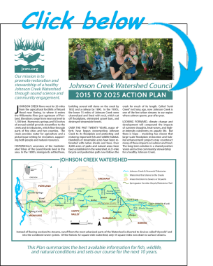 Action Plan Cover - Click Below