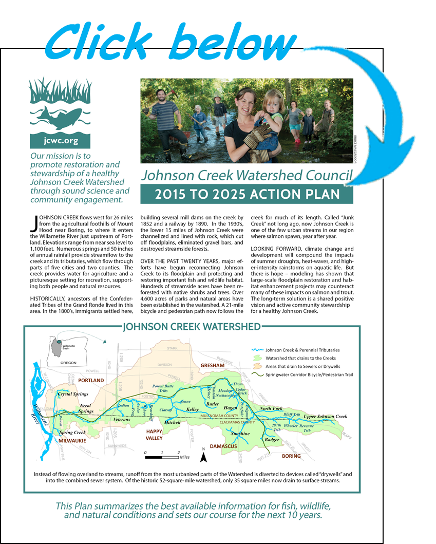 Action Plan Johnson Creek Watershed Council