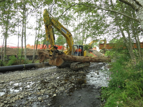 Johnson Creek Habitat work