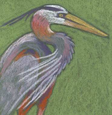 bird 3x3 for web original