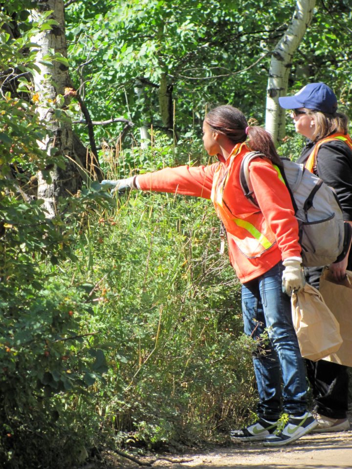 Internship and Volunteer Opportunities at Groundwork Portland Johnson