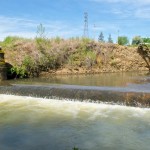 Luther Rd Habitat Restoration Project  -