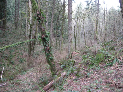 Looking down the Butte Canyon
