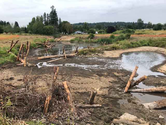 floodplain restoration project near Pleasant Valley
