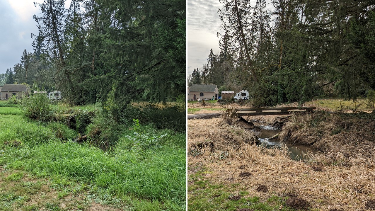 The image on the left shows an old degraded culvert and overgrown vegetation. The image on the right shows the same creek but where the culvert used to be, the stream has been opened in a trapezoidal channel shape and a bridge has been built across the creek.
