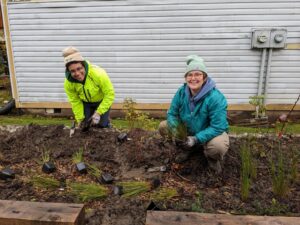 Two people kneeling in the muddy bare soil planting native plants