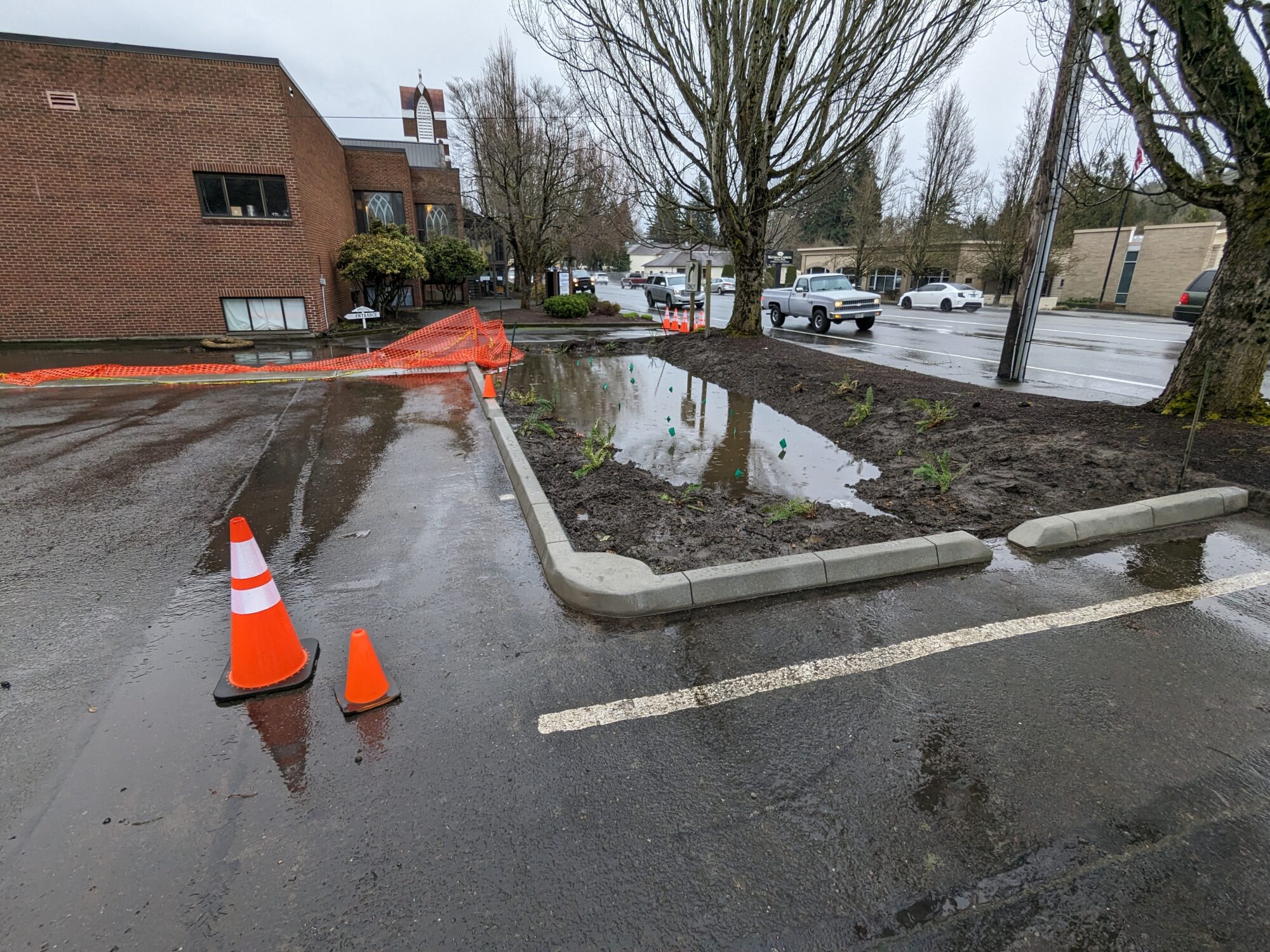 Stormwater flows from the parking lot pavement into a rain garden with standing water. 
