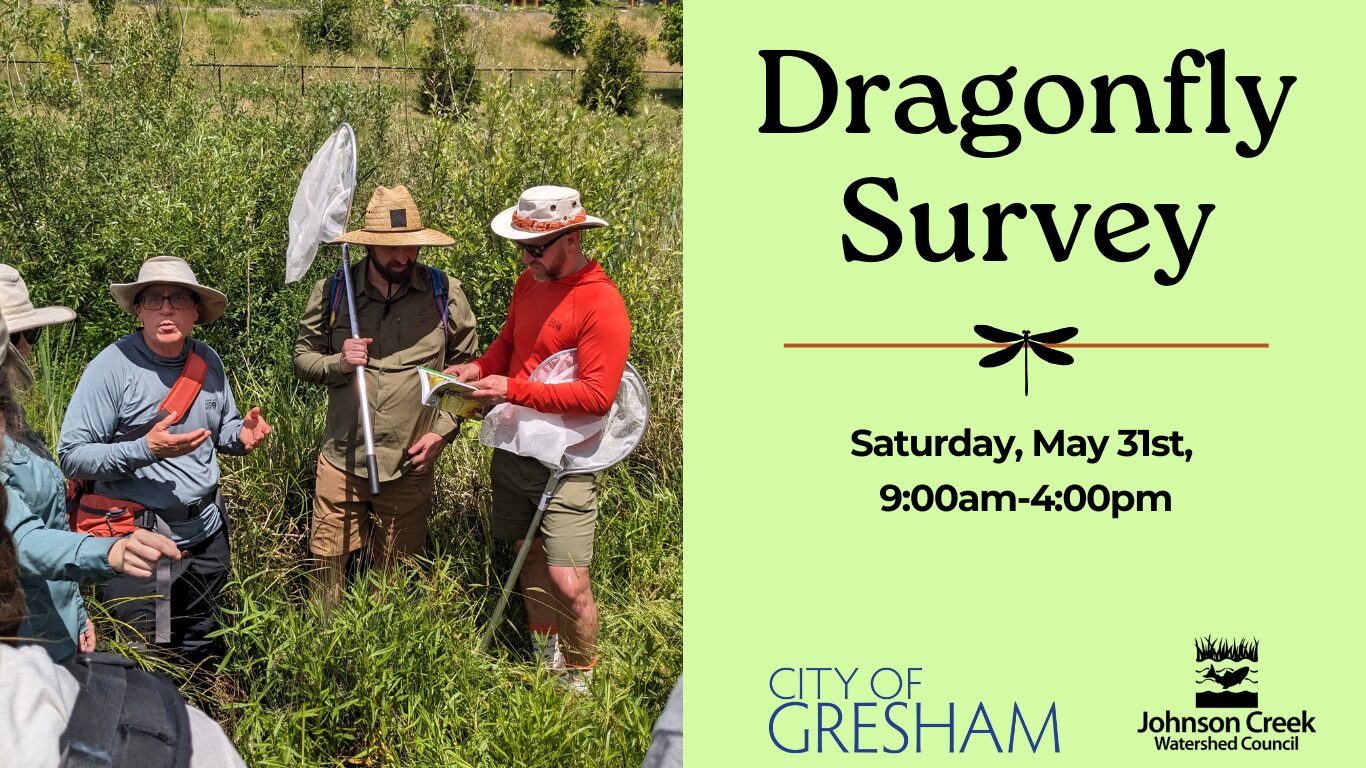 people in field holding dragonfly nets