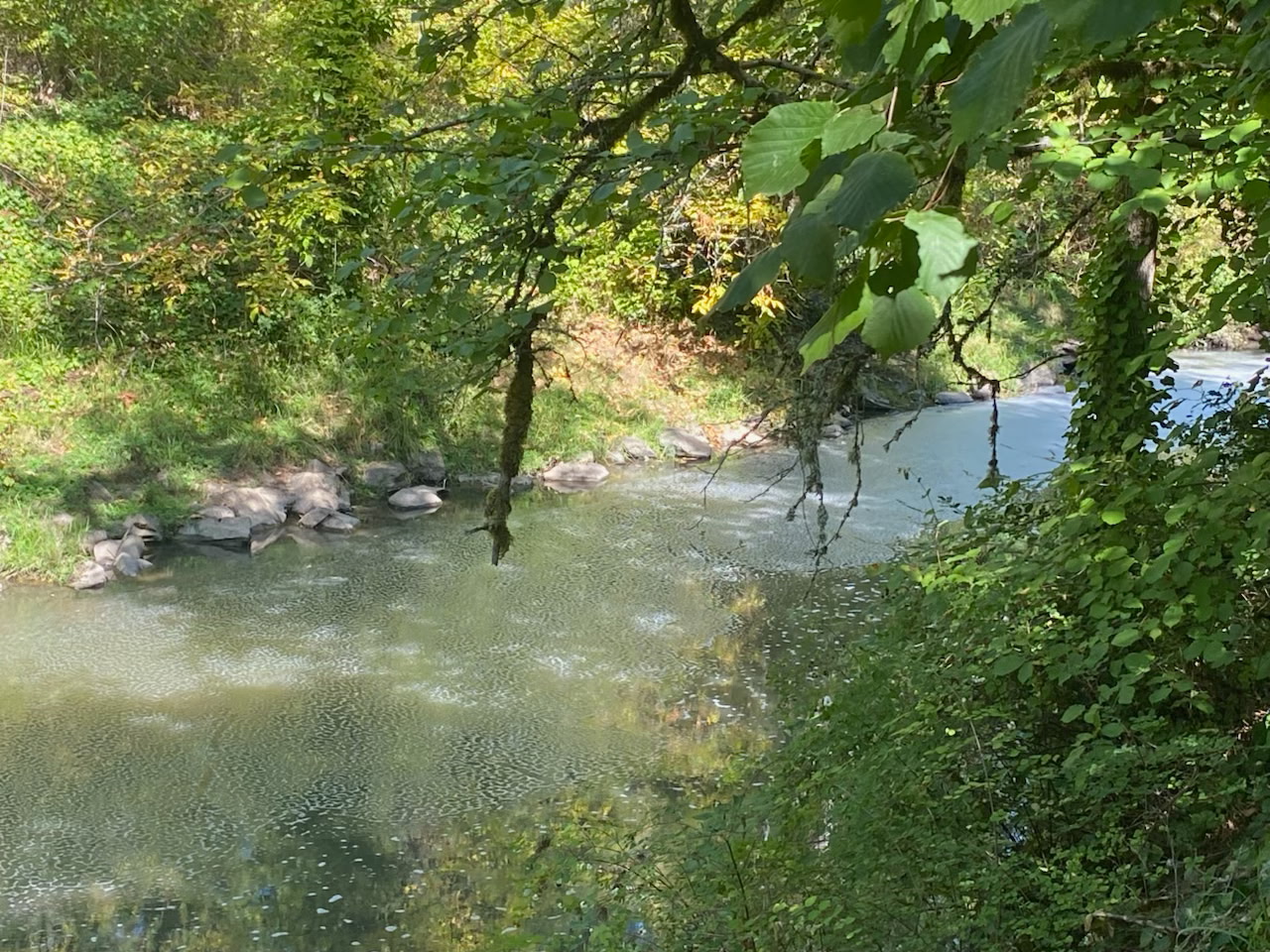 Pollution in Johnson Creek at Tideman Johnson park.